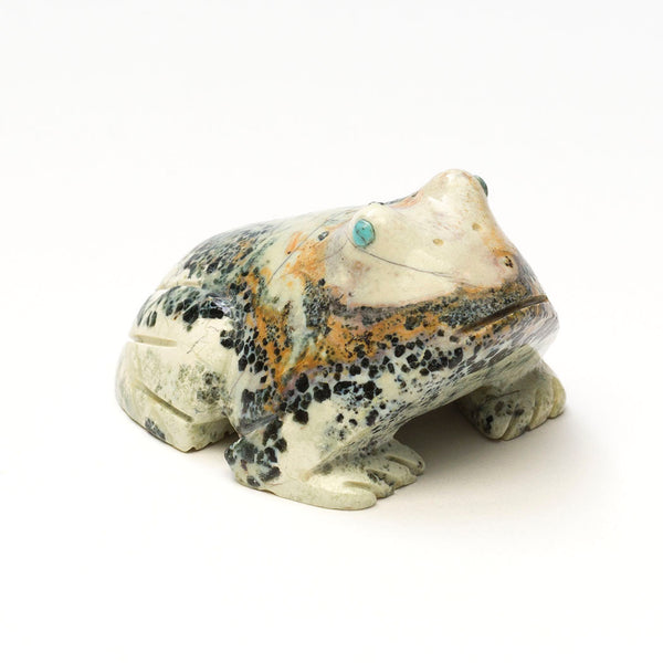 Rocky Stream Frog