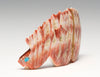 Spiky Spiny Oyster Shell Dinosaur