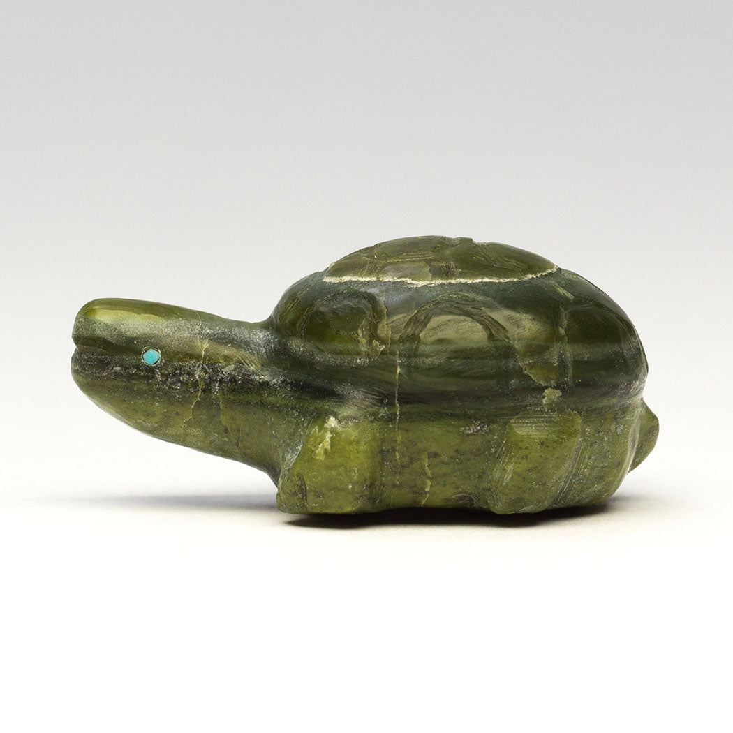 Go With The Flow Turtle