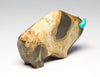 Septarian Nodule Bison