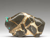 Ancient Mud Ball Bison