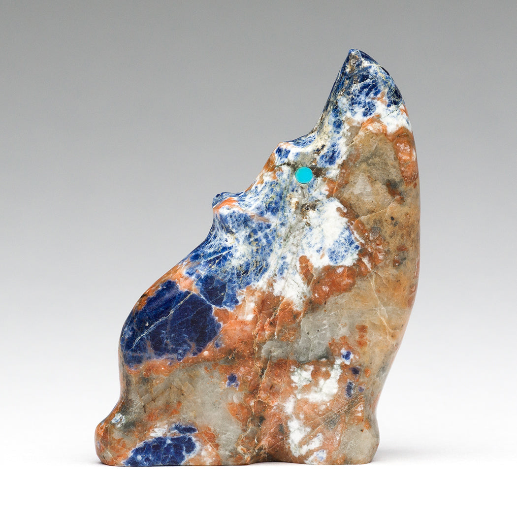 Sodalite Coyote