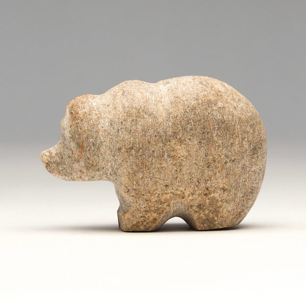 Rock Collection Bear