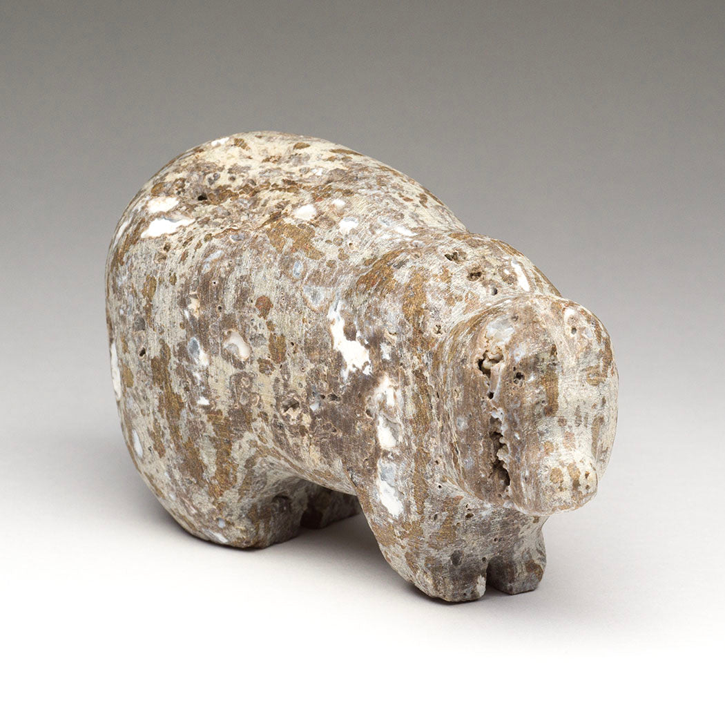 Lost World Bear