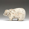 Lost World Bear