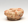 Geological Fruitcake Frog