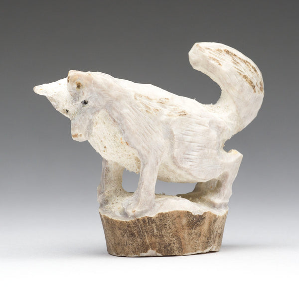 Forest Dancer Wolf