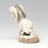 Raw Beauty Bighorn Sheep