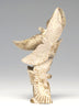Eagles Locking Talons