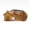 Golden Amber Mountain Lion