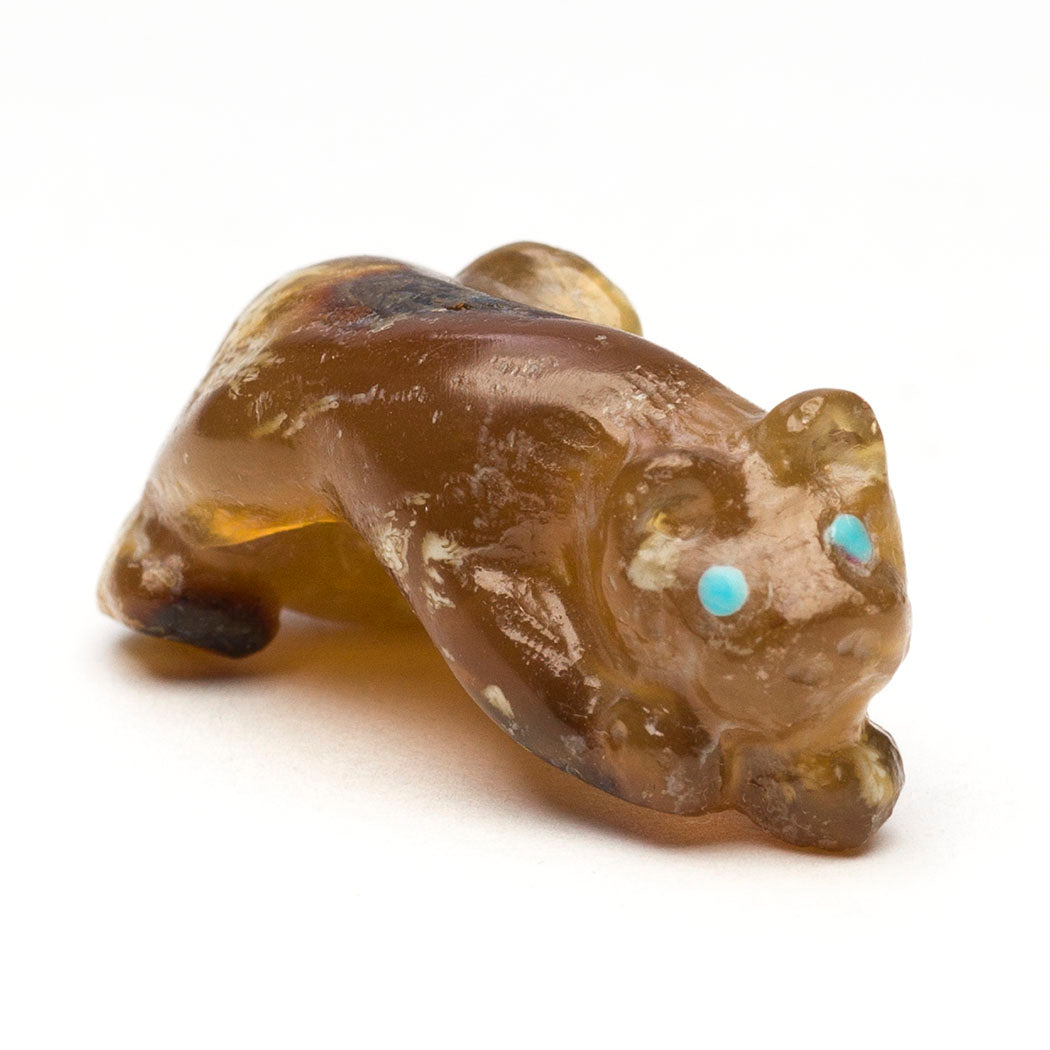 Golden Amber Mountain Lion