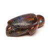 Amber Turtle