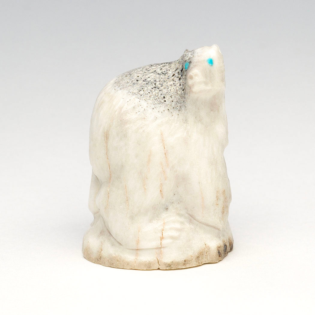 New Beginnings Bear
