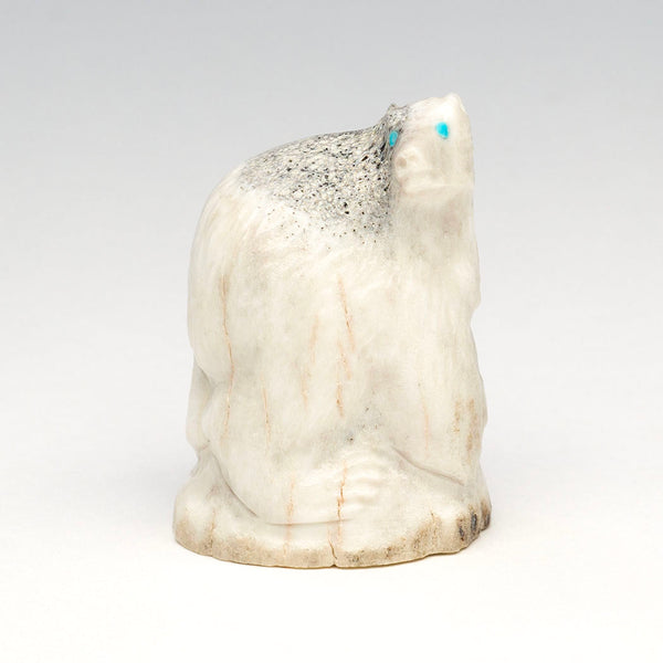 New Beginnings Bear