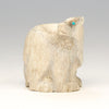 Watchful Bear