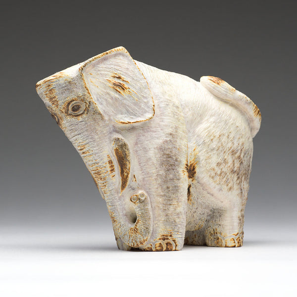 Old Matriarch Elephant