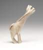 Giraffe Outreach