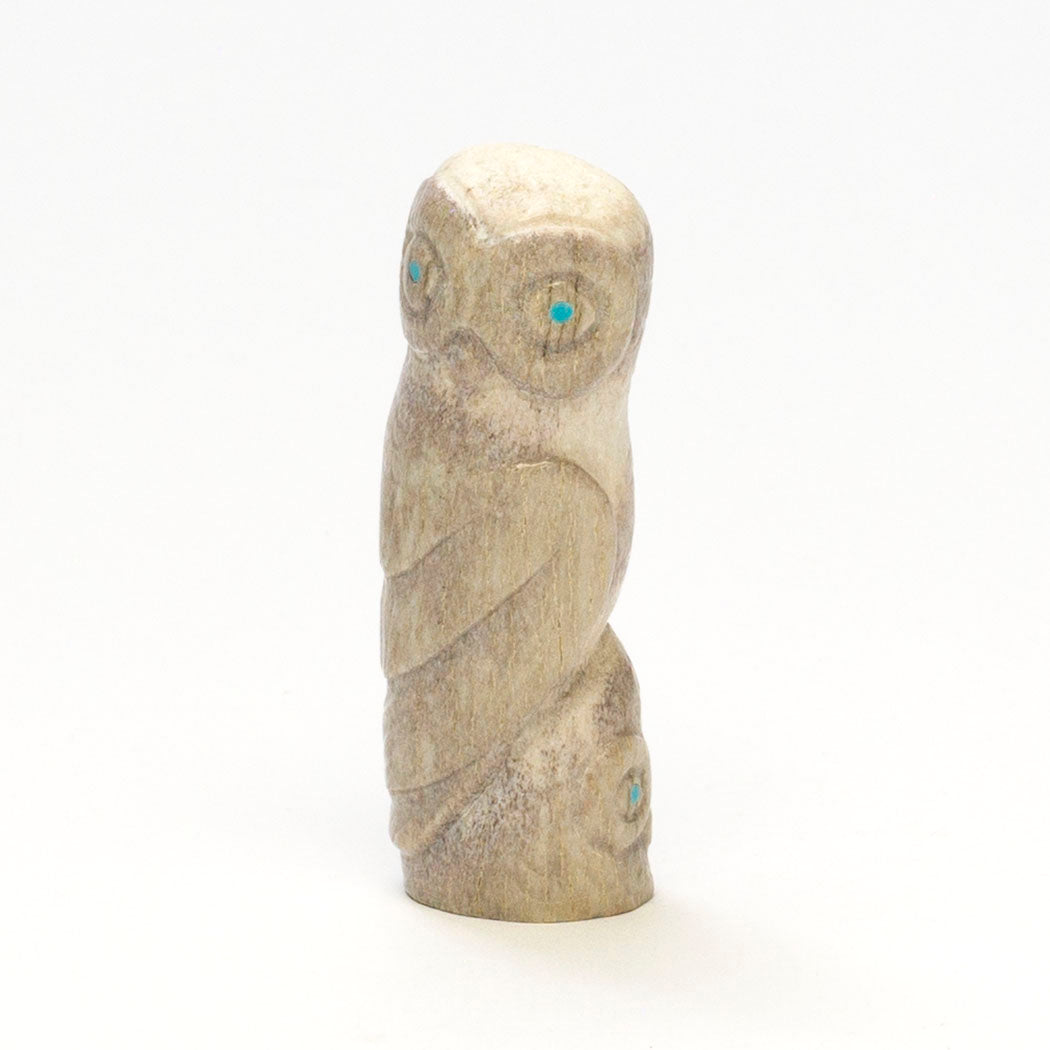 Guardian Owl & Owlet