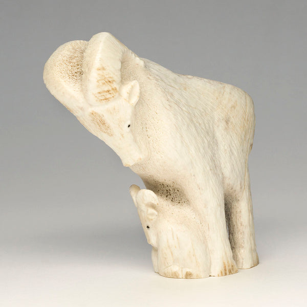 Mother Bighorn & Lamb