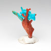 Colorful Reef Eels & Fish