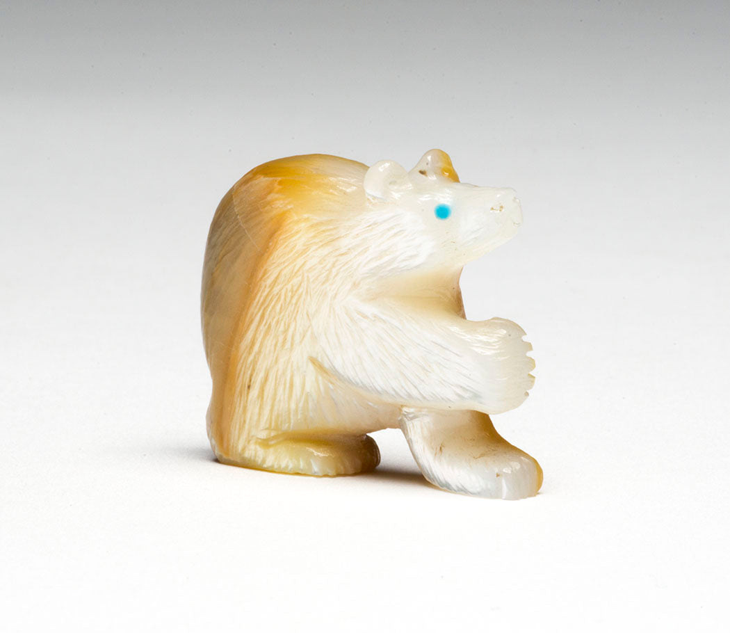 Spirit Bear