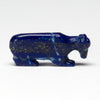 Starry Bear