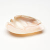Pink Mussel Shell Eagle