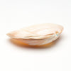 Pink Mussel Shell Eagle