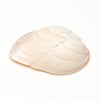 Pink Mussel Shell Eagle