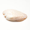 Pink Mussel Shell Eagle