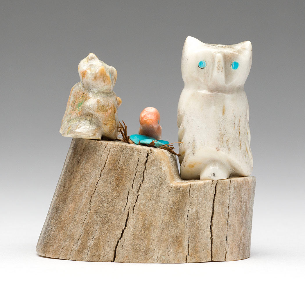 Protective Owls & Nesting Bird