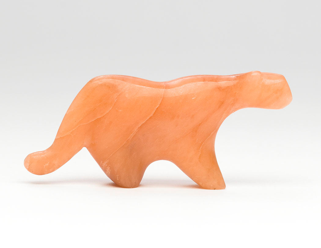 Best Hunter Mountain Lion