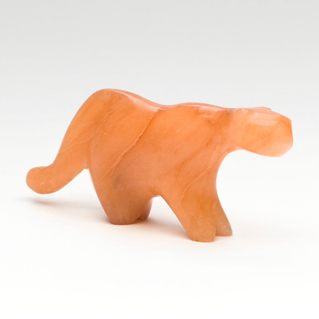 Best Hunter Mountain Lion