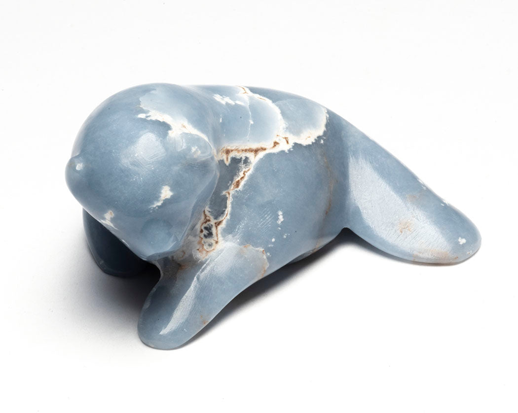 Lineal Beaver