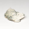 Desert Landscape Horned Lizard