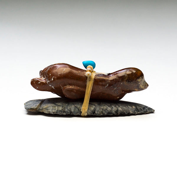 Surfing Seal
