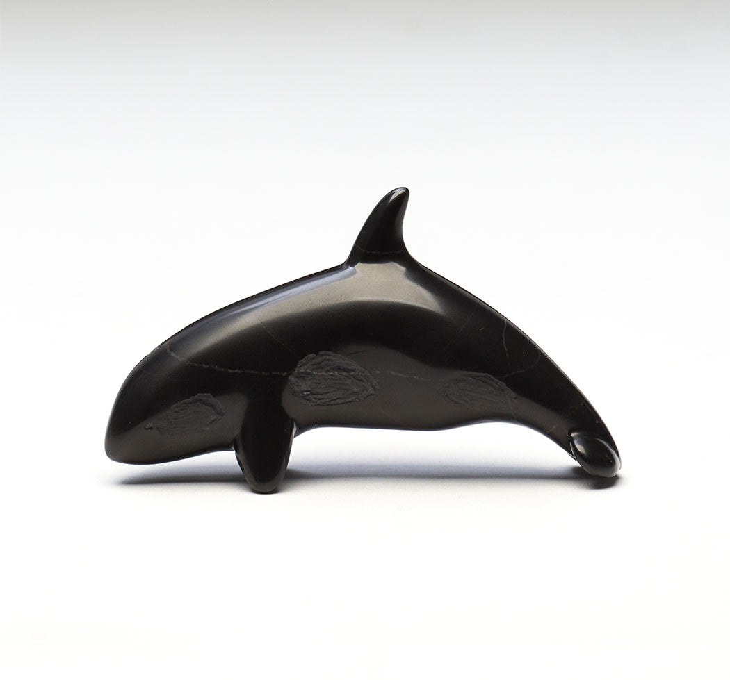 Mighty Orca