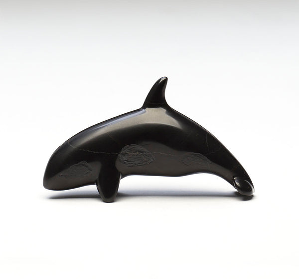 Mighty Orca