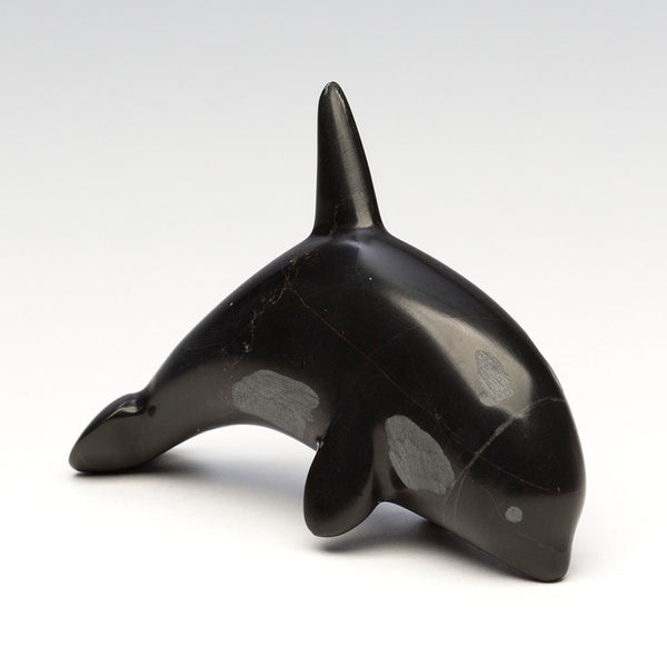 Elder Matriarch Orca