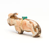 Endearing Pygmy Goat