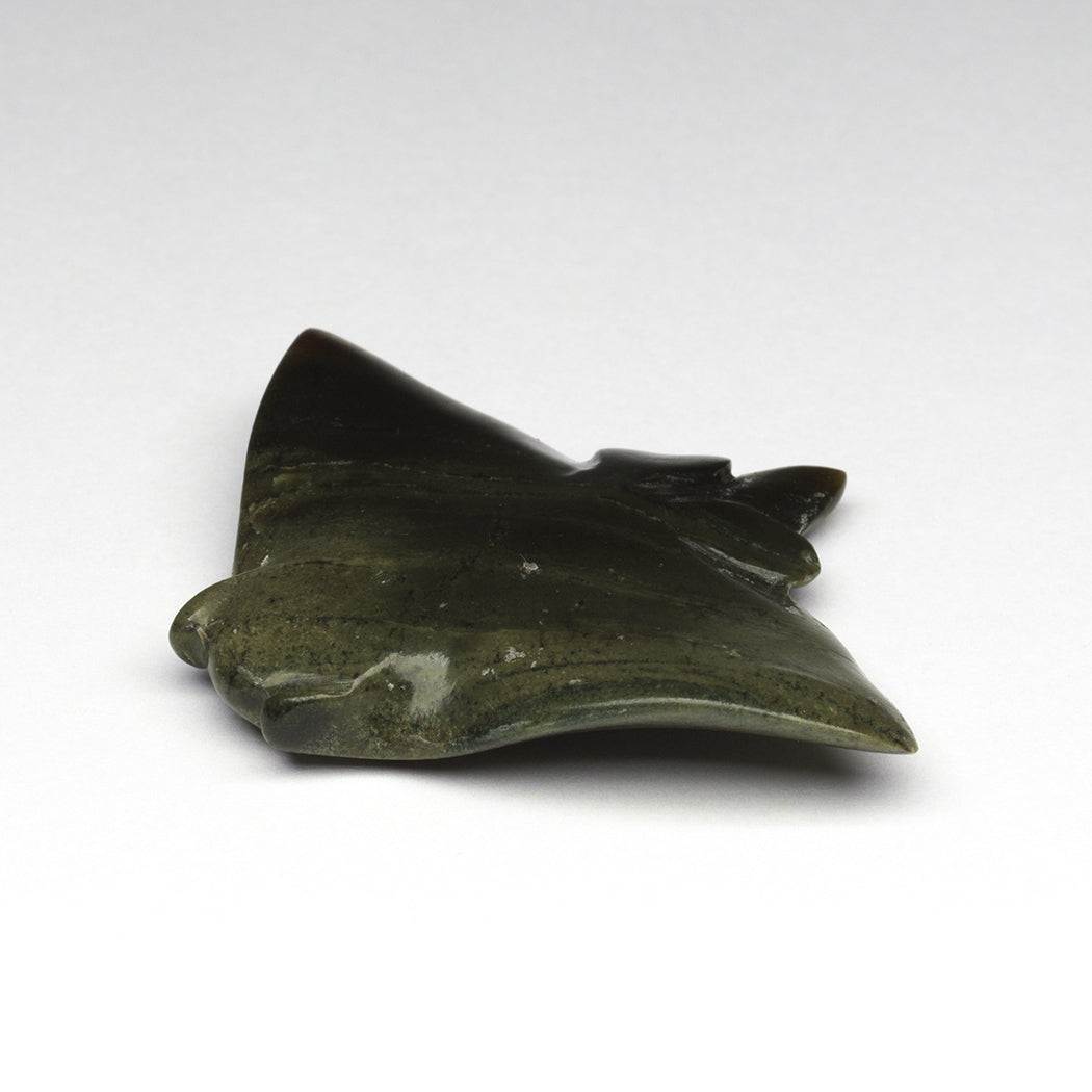 Underwater Flight Manta Ray