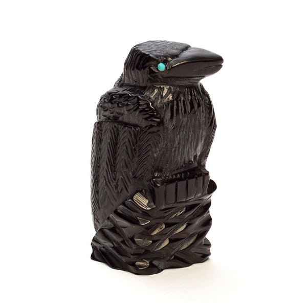 Cold Night Raven