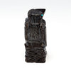 Fossilized Coal Corvid