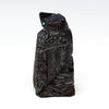 Fossilized Coal Corvid
