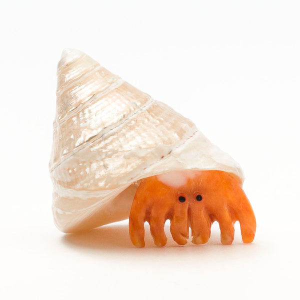 Adorable Hermit Crab