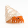Adorable Hermit Crab
