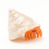 Adorable Hermit Crab