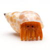 Homebody Hermit Crab