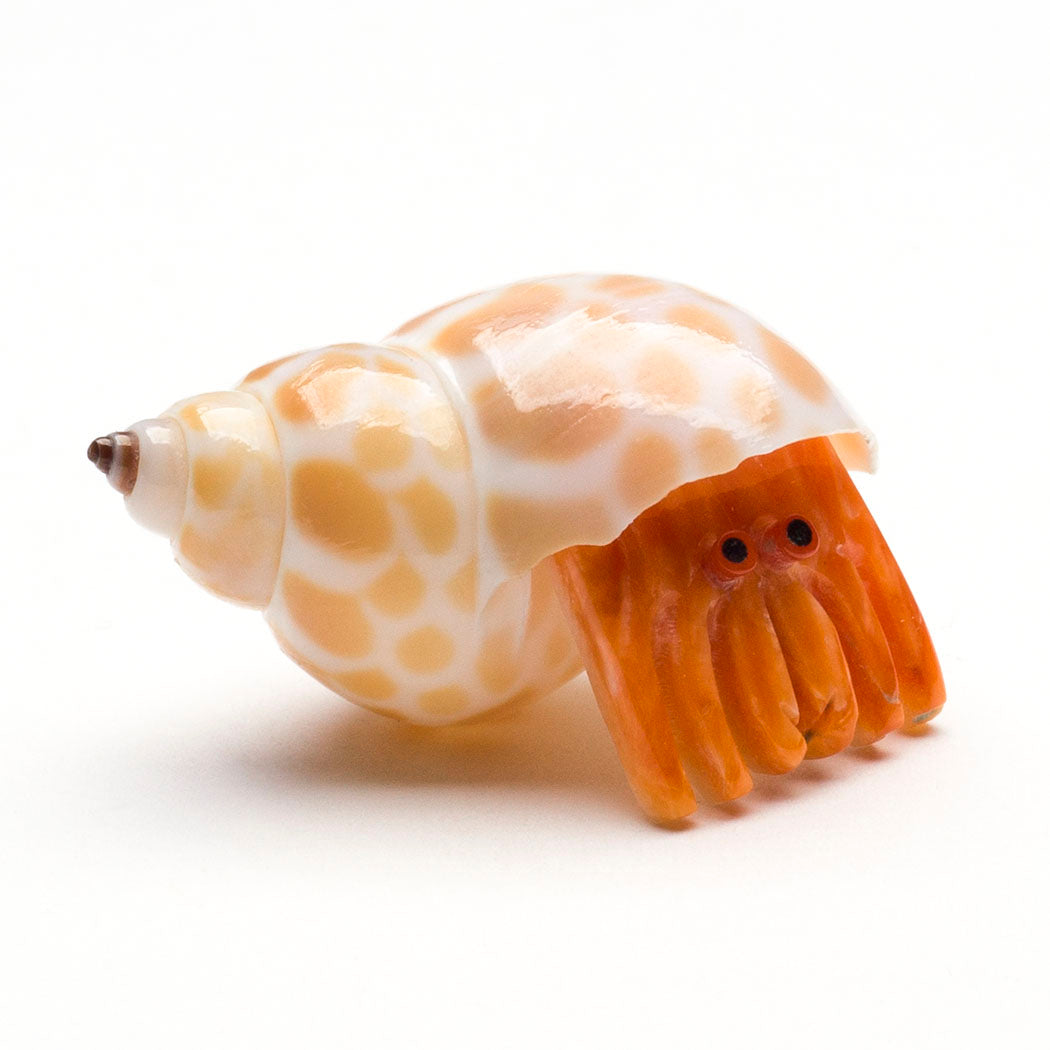 Homebody Hermit Crab