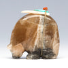 Heart & Soul Medicine Bear